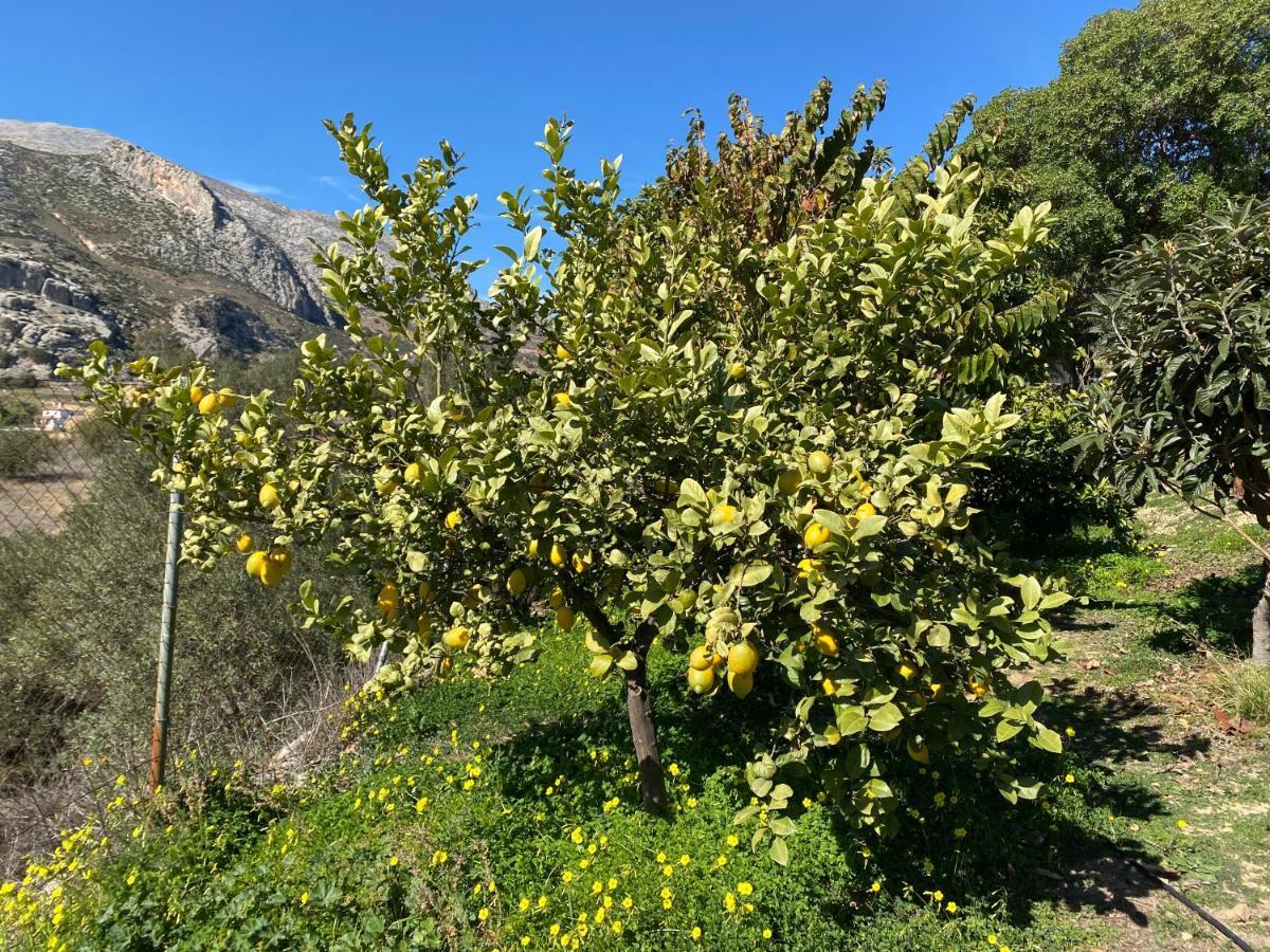 Casa El Saladillo Villa Valle de Abdalagís Kültér fotó